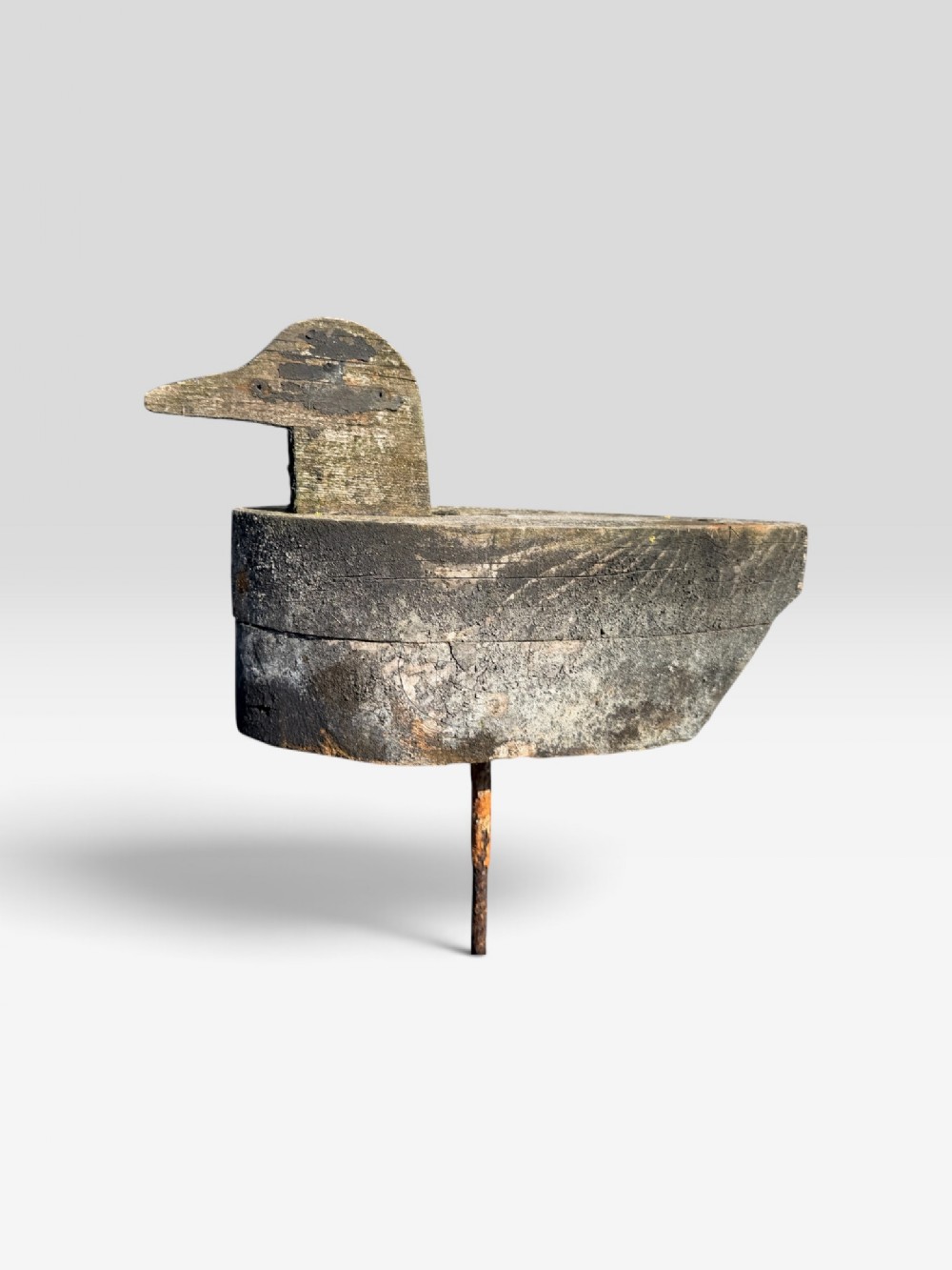 Alternate View