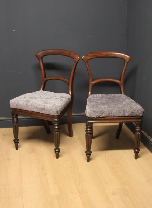 Pair of William IV Mahogany Chairs