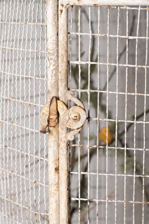 ANTIQUE FRENCH BIRDCAGE - ADDITIONAL PHOTO 6
