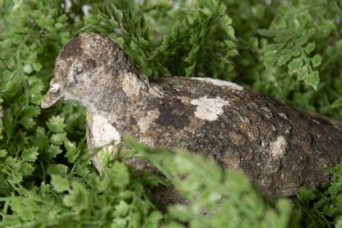RECONSTITUTED STONE PIGEON - ADDITIONAL PHOTO 1