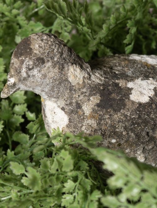 RECONSTITUTED STONE PIGEON - ADDITIONAL PHOTO 2