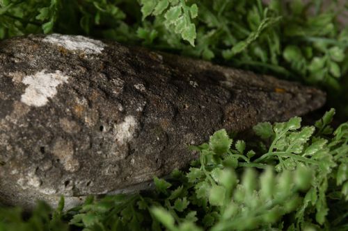 RECONSTITUTED STONE PIGEON - ADDITIONAL PHOTO 4