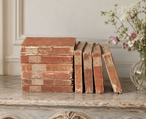 10 Antique French Books