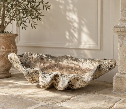 Giant Antique Clam Shell