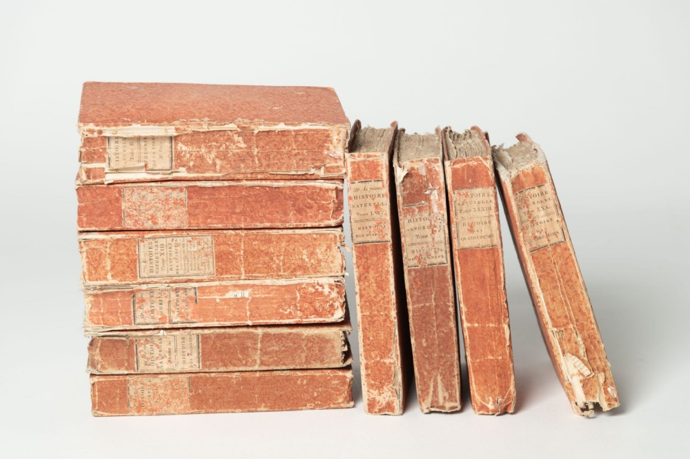 A collection of ten antique French books with distressed terracotta paper bindings stacked and aligned upright.