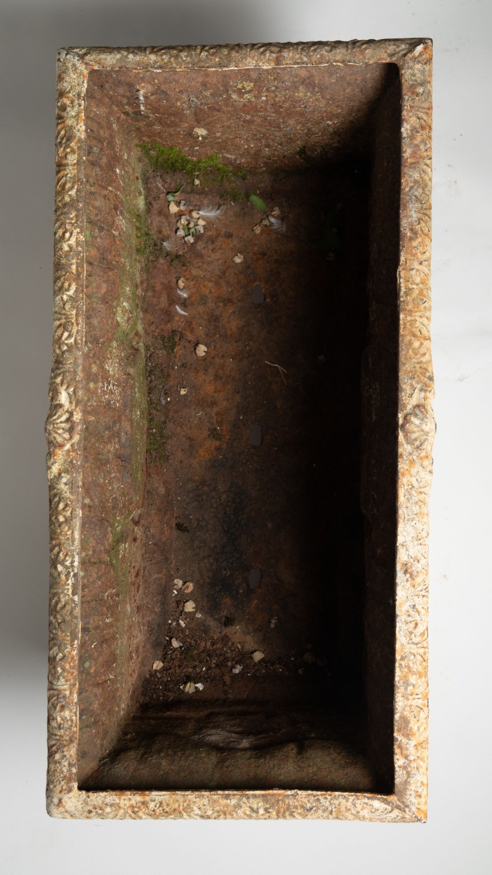 Detail View