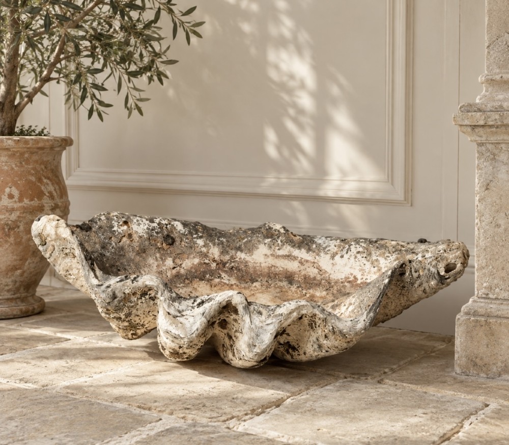An antique giant clam shell featuring a thick, weathered exterior and a deeply wavy scalloped rim in shades of off-white and grey.