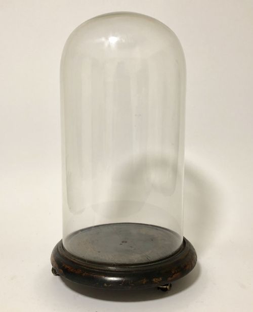 Antique Victorian Glass Display Dome on Wheels