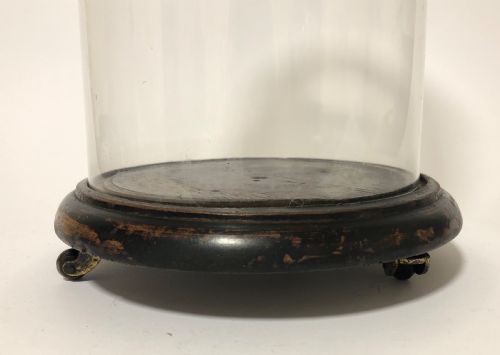 fig 1. Antique Victorian Glass Display Dome on Wheels