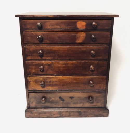 Antique Pine Tabletop Specimen Collectors Cabinet