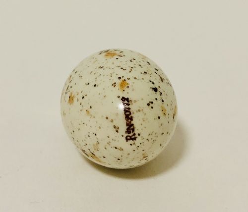 fig 1. Victorian Sampson Mordan Birds Egg Scent Bottle with Solid Silver Top