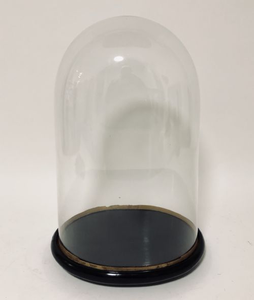 Large Antique Glass Display Dome
