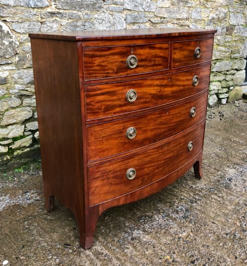 fig 2. Regency Mahogany Bow Front Chest of Drawers