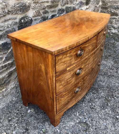 fig 2. Antique Mahogany Bow Front Chest of Drawers