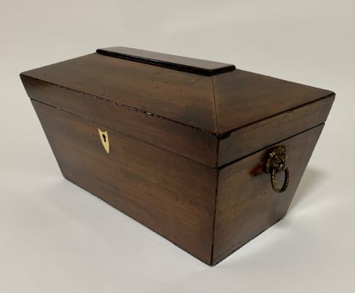 fig 1. Georgian Mahogany Sarcophagus Tea Caddy