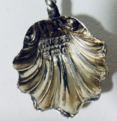 fig 3. Set of 4 Antique Solid Silver Shell Salts and Spoons