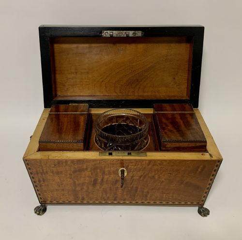 Regency Mahogany Sarcophagus Tea Caddy