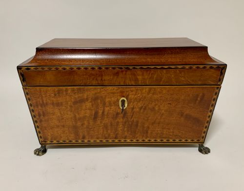 fig 1. Regency Mahogany Sarcophagus Tea Caddy