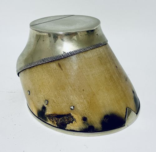 Antique Taxidermy Horse Hoof Silver Plated Vesta Match Holder