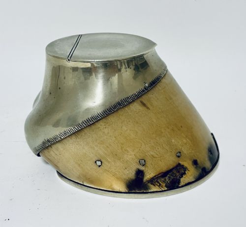 fig 1. Antique Taxidermy Horse Hoof Silver Plated Vesta Match Holder