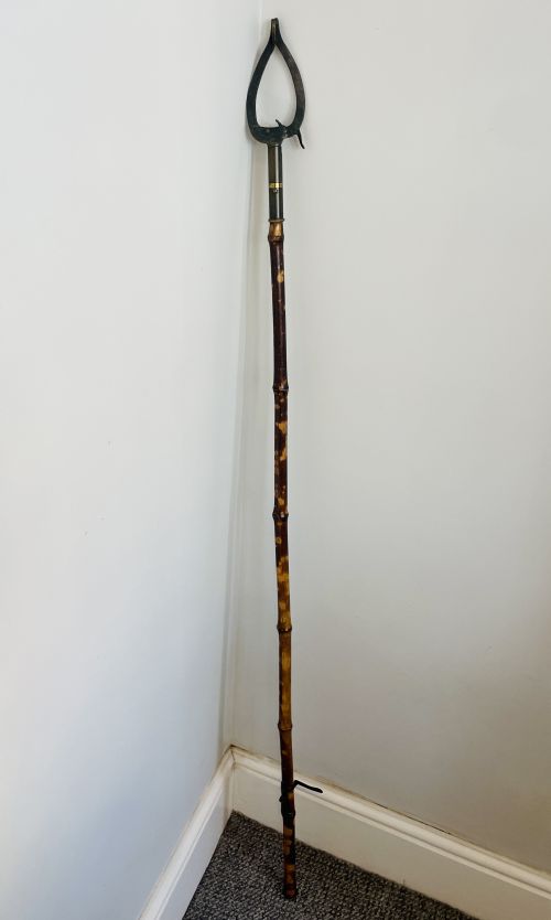 fig 1. Victorian Bamboo Book Grab