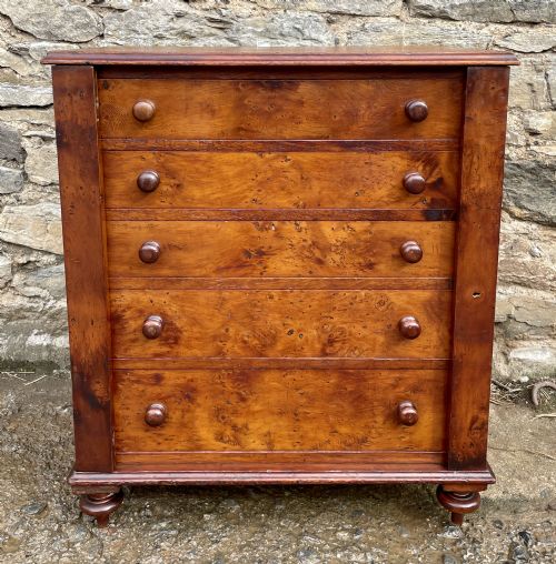 Victorian Yew Wood Wellington Chest