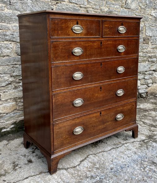 fig 2. Large Georgian Oak Chest of Drawers