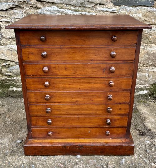 Antique Specimen Collectors Cabinet