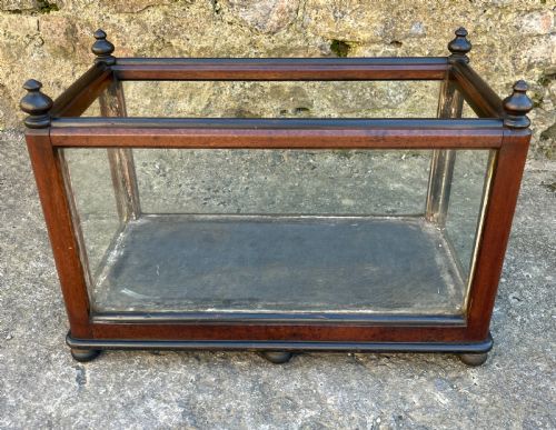 Antique Oak Framed Glass Terrarium
