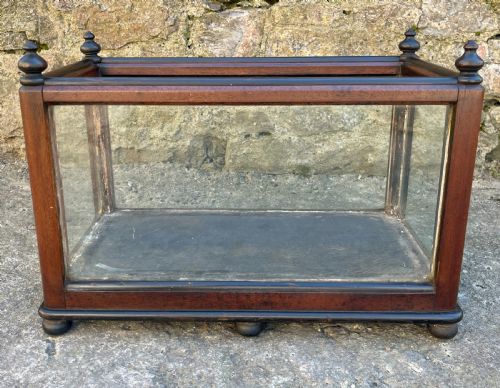 fig 1. Antique Oak Framed Glass Terrarium