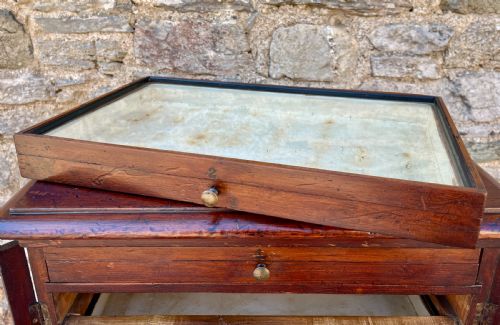 fig 2. Antique Specimen Cabinet
