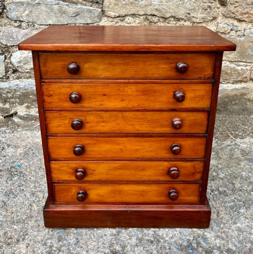 Victorian Specimen Collectors Chest