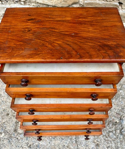 fig 2. Victorian Specimen Collectors Chest