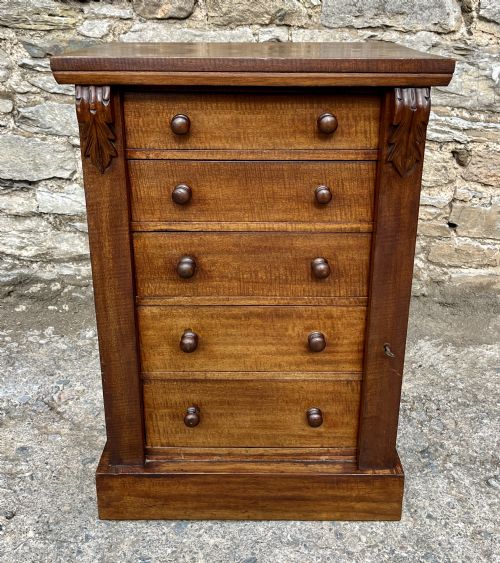 fig 1. Antique Mahogany Wellington Chest