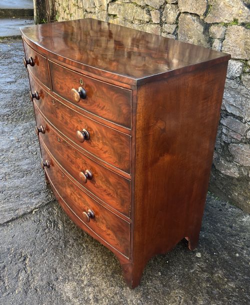 fig 2. Regency Mahogany Bow Front Chest of Drawers