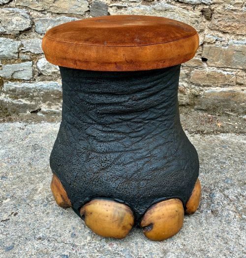 Antique Taxidermy Elephant Foot Stool