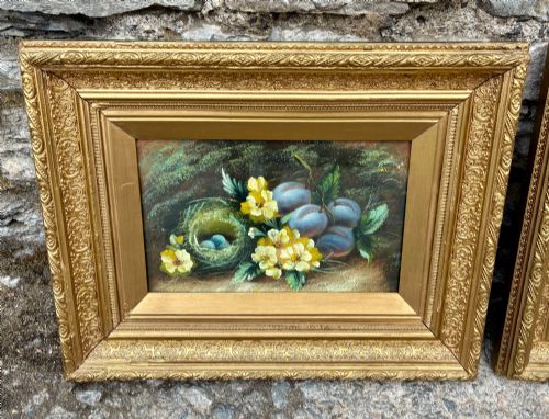 fig 1. A matching pair of Victorian still life oil paintings depicting plums, primroses, and a bird nest in ornate gold gilded frames.