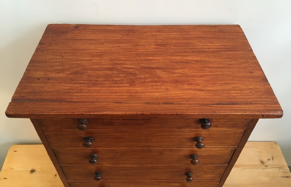 Antique Pine Tabletop Specimen Collectors Chest of Drawers View II