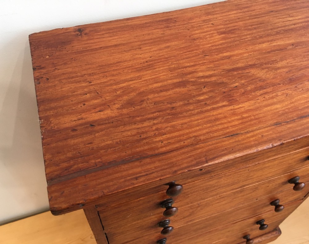 Antique Pine Tabletop Specimen Collectors Chest of Drawers View III