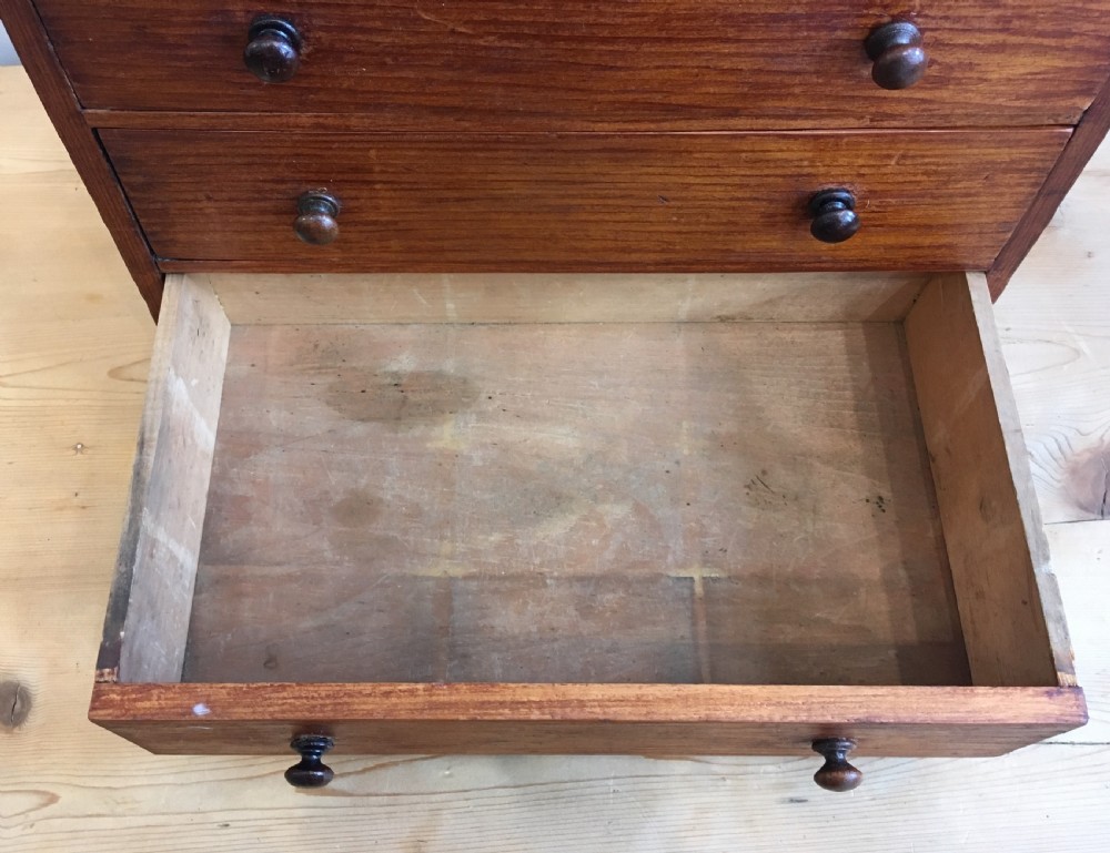 Antique Pine Tabletop Specimen Collectors Chest of Drawers View XI