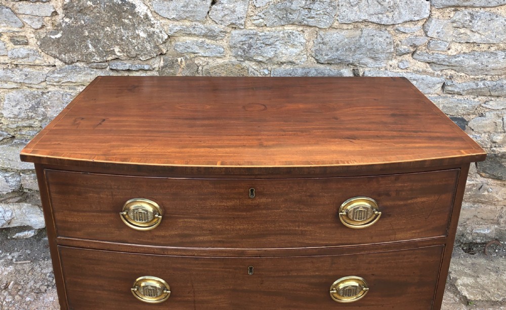 Small Antique Georgian Regency Bow Front Chest of Drawers View VII
