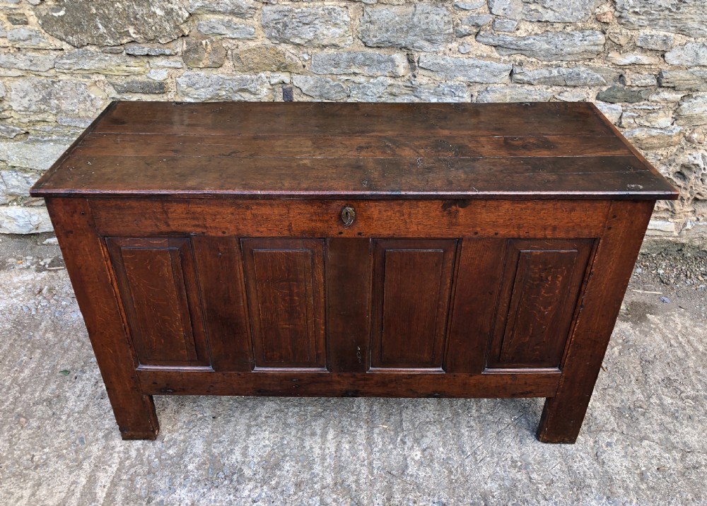 Large Antique 18th Century Oak Panelled Coffer View III