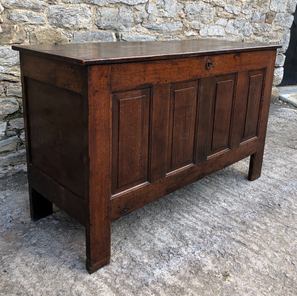 Large Antique 18th Century Oak Panelled Coffer View IV