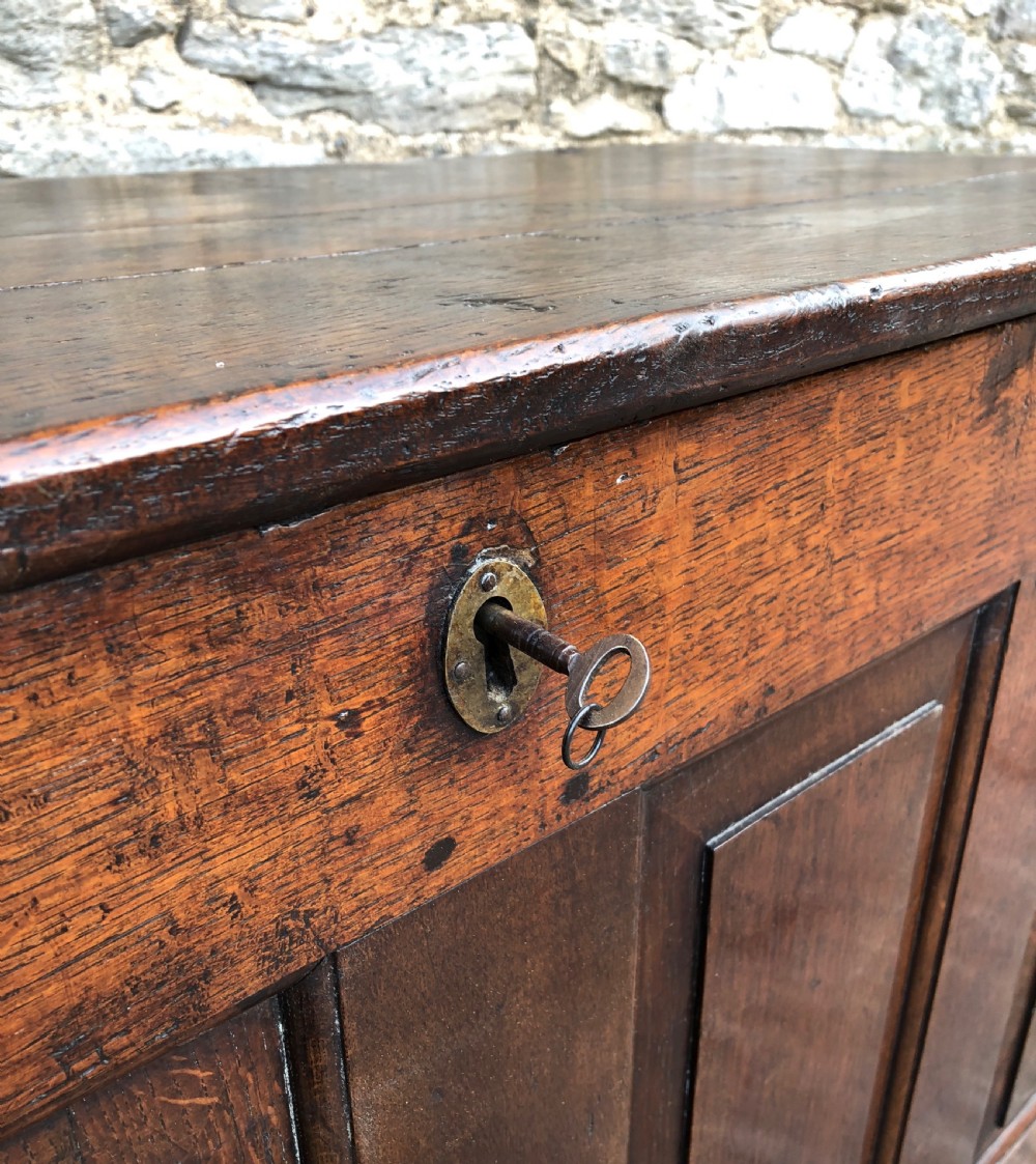 Large Antique 18th Century Oak Panelled Coffer View VIII