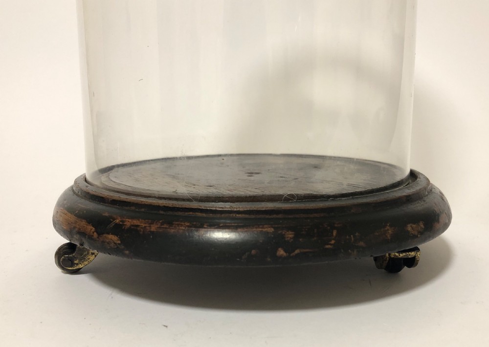 Antique Victorian Glass Display Dome on Wheels View II