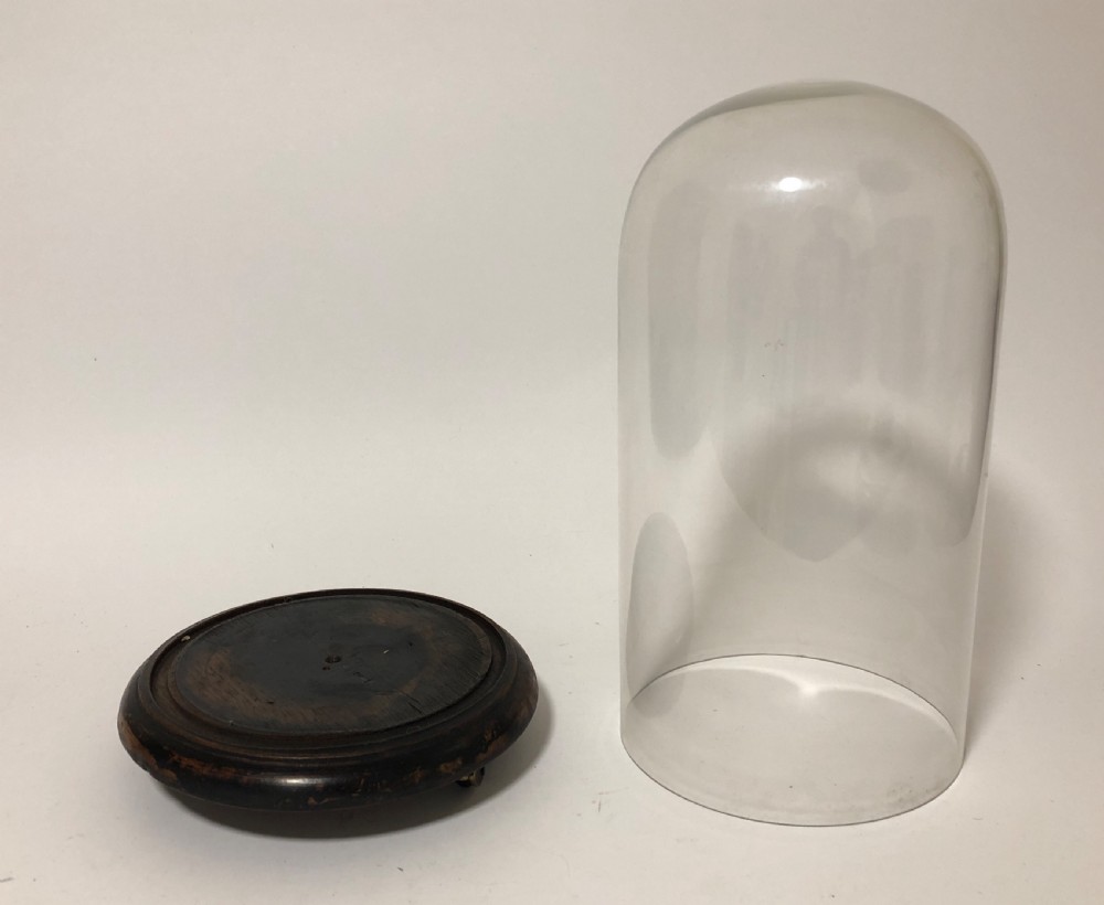 Antique Victorian Glass Display Dome on Wheels View IV