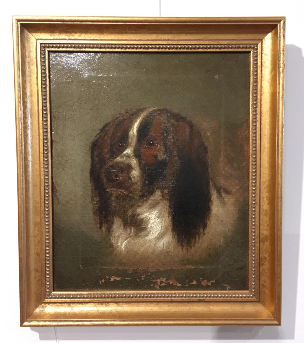 Antique Oil on Canvas Painting of a Spaniel Dog