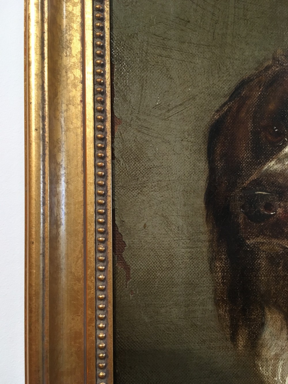 Antique Oil on Canvas Painting of a Spaniel Dog View VI