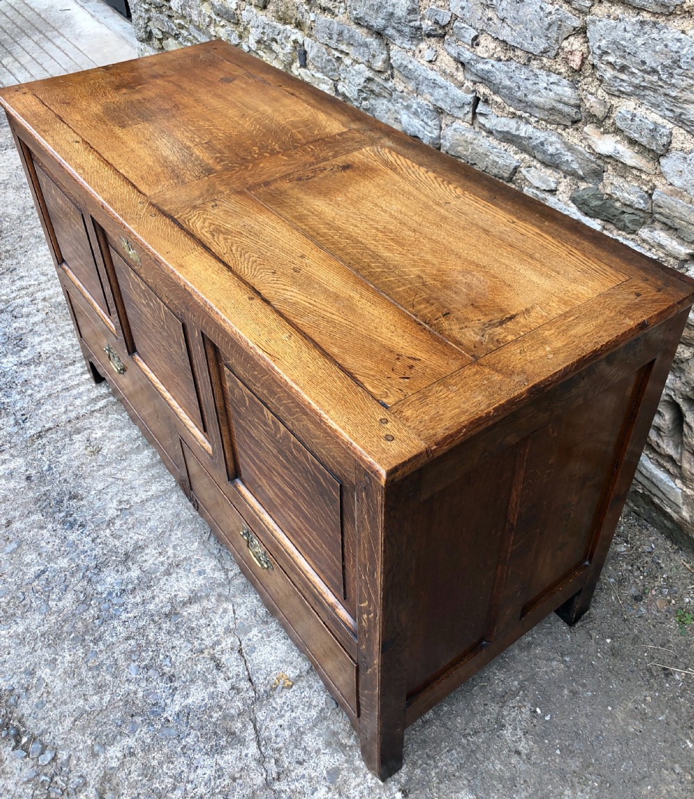 Antique Oak Mule Chest View VI