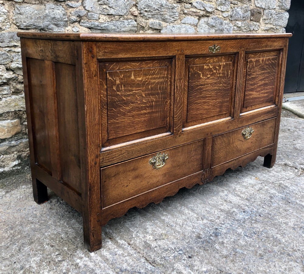 Antique Oak Mule Chest View VII